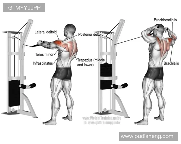 60岁如何安全有效地练习哑铃提升身体素质的详细图解与指导