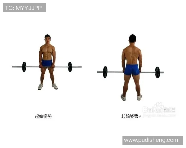 哑铃训练背部肌肉的有效方法与技巧分享