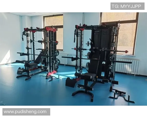 家庭健身器材全景展示让您在家轻松锻炼塑造完美身材