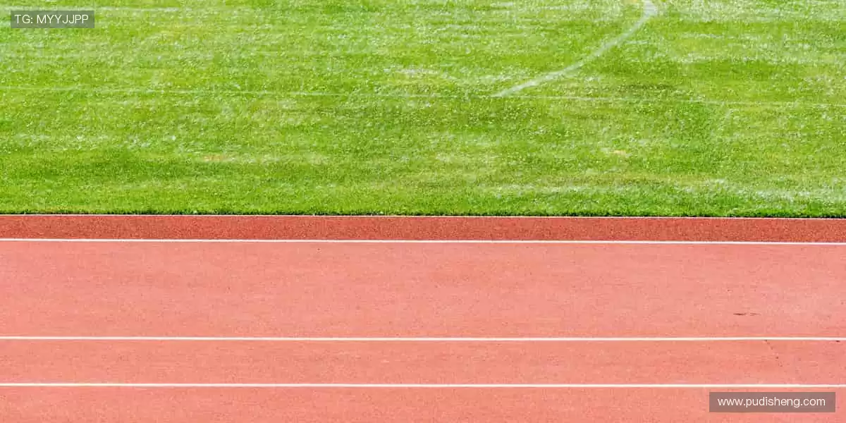 📺超清画质,实时直击!💥一键开启,赛事永不缺席!